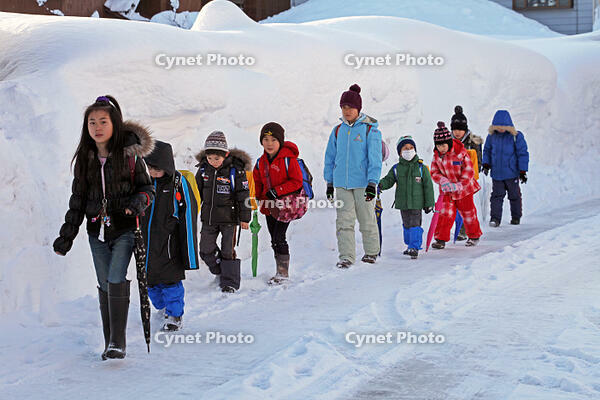 雪の登校　新潟県　十日町市 [MAS110007346]