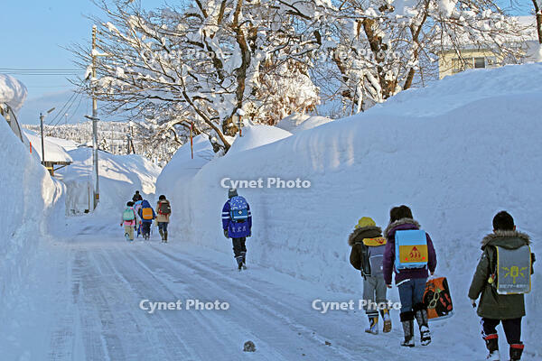 雪の登校　新潟県　十日町市 [MAS110007351]