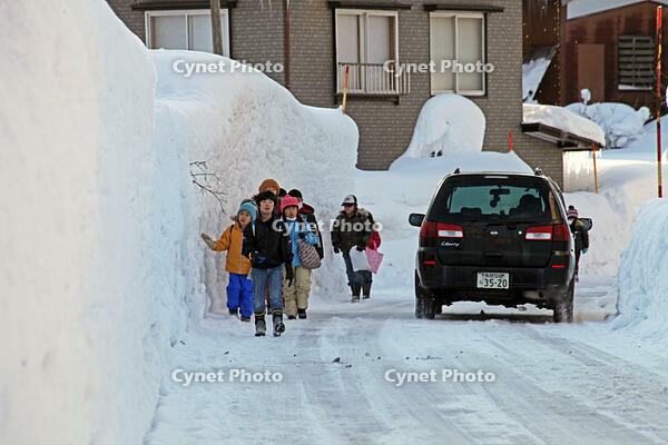 雪の登校　新潟県　十日町市 [MAS110007352]
