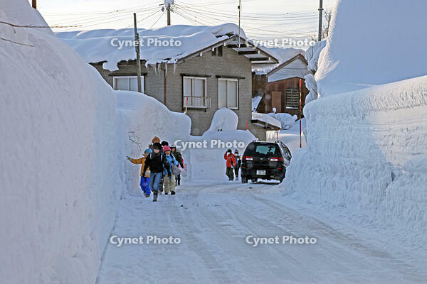 雪の登校　新潟県　十日町市 [MAS110007353]