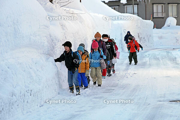 雪の登校　新潟県　十日町市 [MAS110007357]