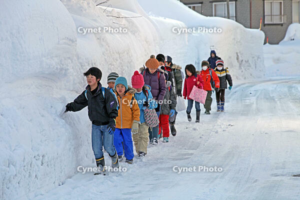雪の登校　新潟県　十日町市 [MAS110007358]