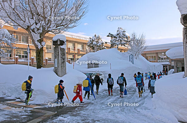 雪の登校　新潟県　十日町市 [MAS110007359]