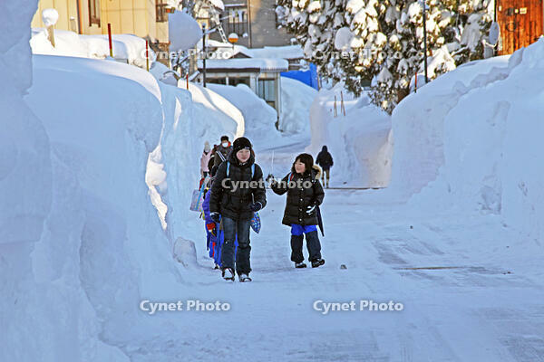 雪の登校　新潟県　十日町市 [MAS110007360]