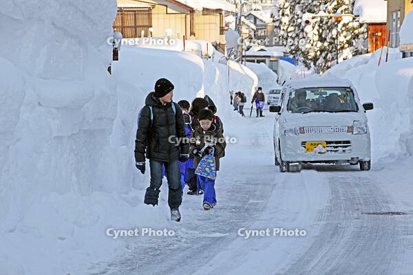 雪の登校　新潟県　十日町市 [MAS110007363]
