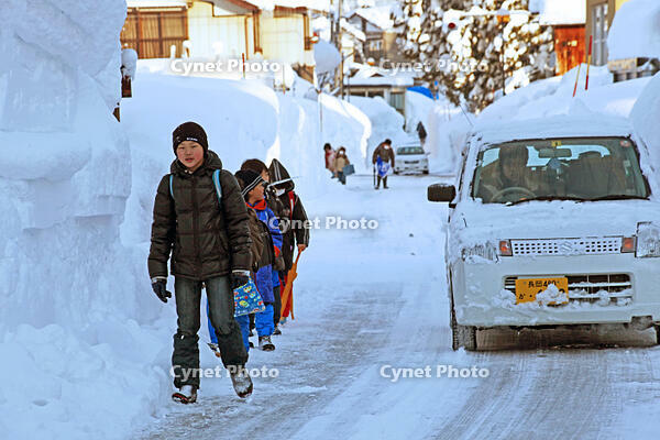 雪の登校　新潟県　十日町市 [MAS110007364]