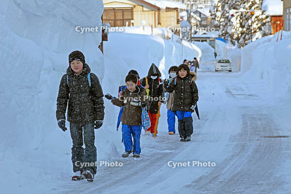 雪の登校　新潟県　十日町市 [MAS110007365]
