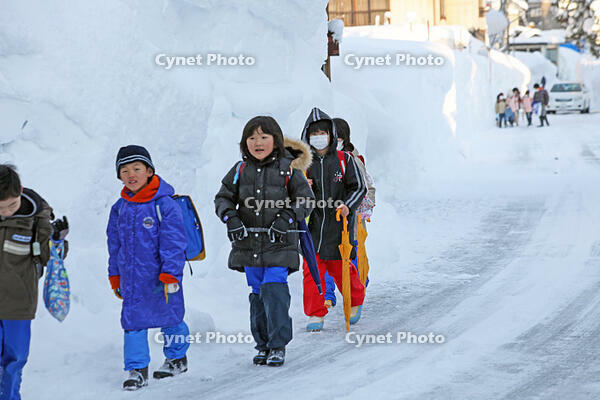 雪の登校　新潟県　十日町市 [MAS110007366]
