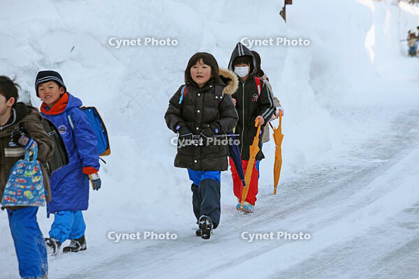 雪の登校　新潟県　十日町市 [MAS110007367]