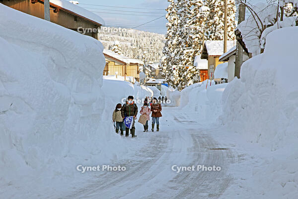 雪の登校　新潟県　十日町市 [MAS110007369]