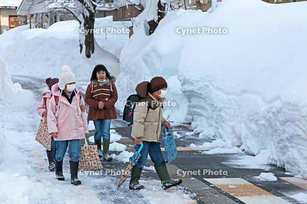 雪の登校　新潟県　十日町市 [MAS110007371]