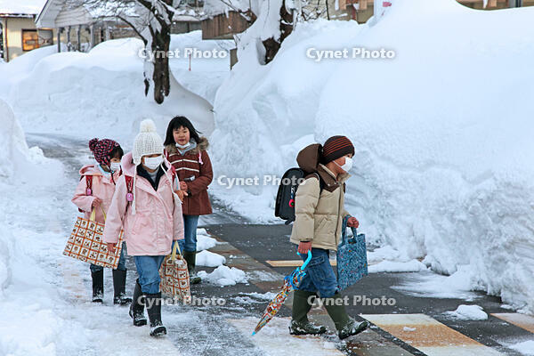 雪の登校　新潟県　十日町市 [MAS110007372]
