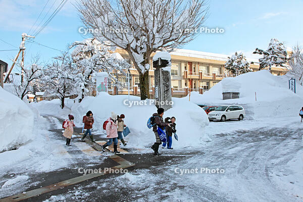 雪の登校　新潟県　十日町市 [MAS110007374]