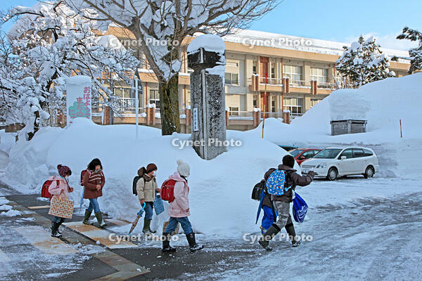 雪の登校　新潟県　十日町市 [MAS110007375]
