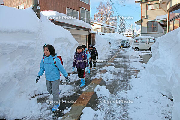雪の登校　新潟県　十日町市 [MAS110007377]