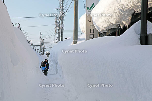 雪の登校　新潟県　十日町市 [MAS110007380]