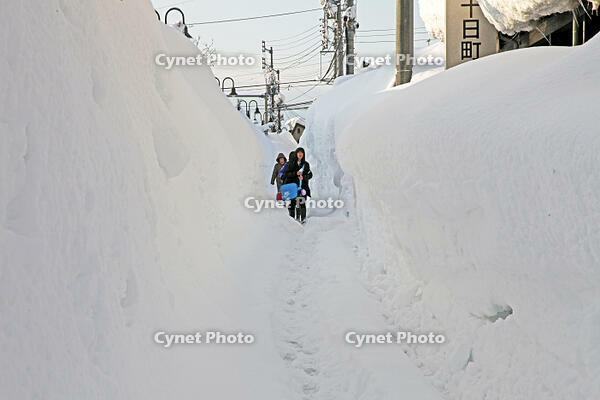 雪の登校　新潟県　十日町市 [MAS110007381]