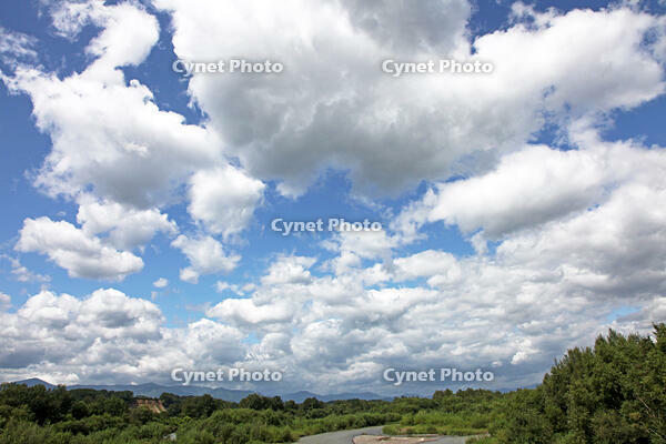 積雲（綿雲）　北海道　芽室町（十勝橋） [MAS110007382]