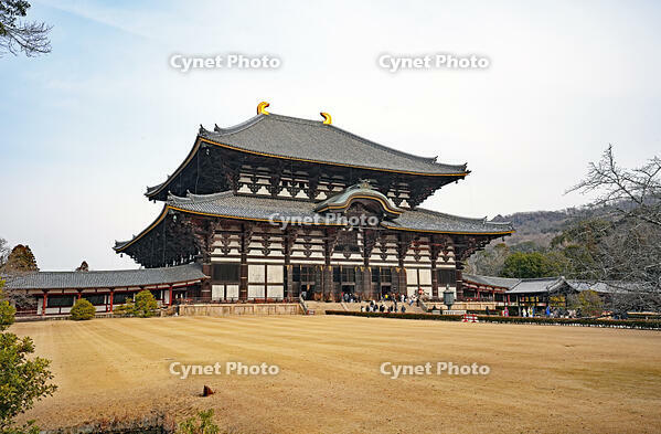 東大寺　大仏殿　奈良県 [MAS110008828]
