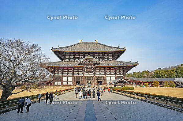 東大寺　大仏殿　奈良県 [MAS110008829]