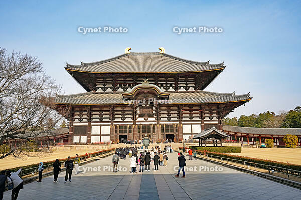 東大寺　大仏殿　奈良県 [MAS110008830]