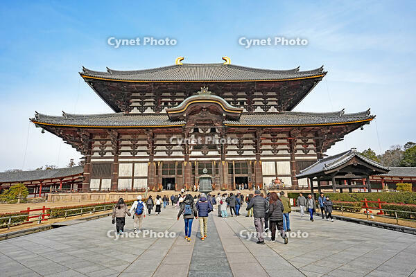東大寺　大仏殿　奈良県 [MAS110008831]