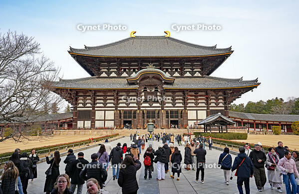 東大寺　大仏殿　奈良県 [MAS110008833]