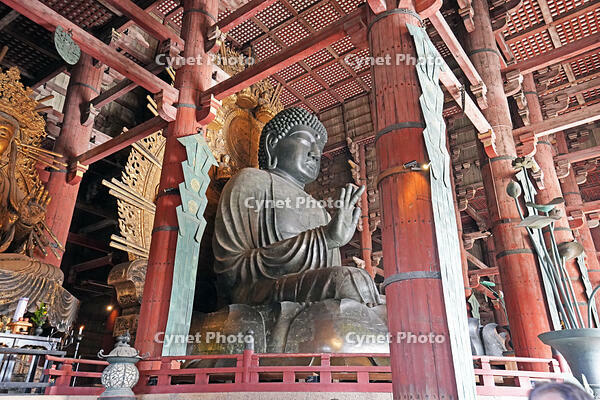 東大寺　大仏　奈良県　奈良市 [MAS110008840]