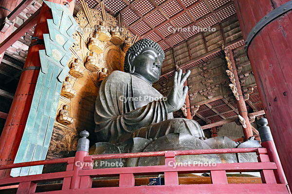 東大寺　大仏　奈良県　奈良市 [MAS110008841]