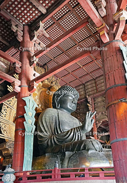 東大寺　大仏　奈良県　奈良市 [MAS110008842]