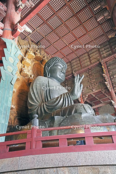 東大寺　大仏　奈良県　奈良市 [MAS110008843]