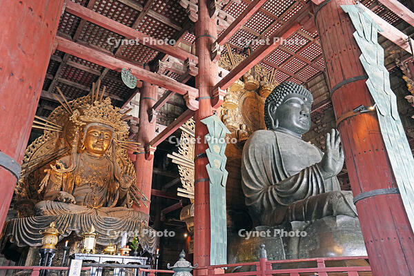 東大寺　大仏　奈良県　奈良市 [MAS110008845]