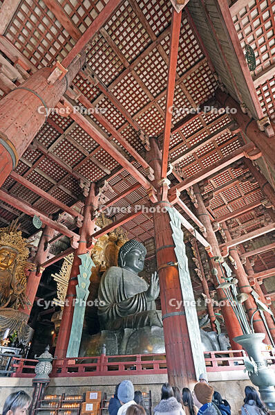 東大寺　大仏　奈良県　奈良市 [MAS110008847]