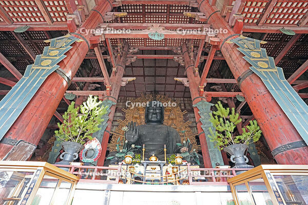 東大寺　大仏　奈良県　奈良市 [MAS110008848]