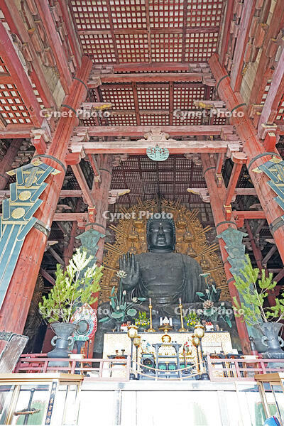 東大寺　大仏　奈良県　奈良市 [MAS110008849]