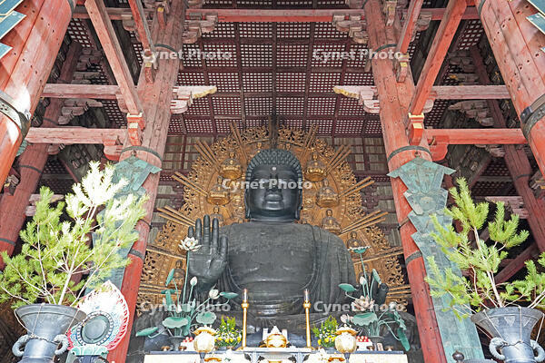 東大寺　大仏　奈良県　奈良市 [MAS110008850]