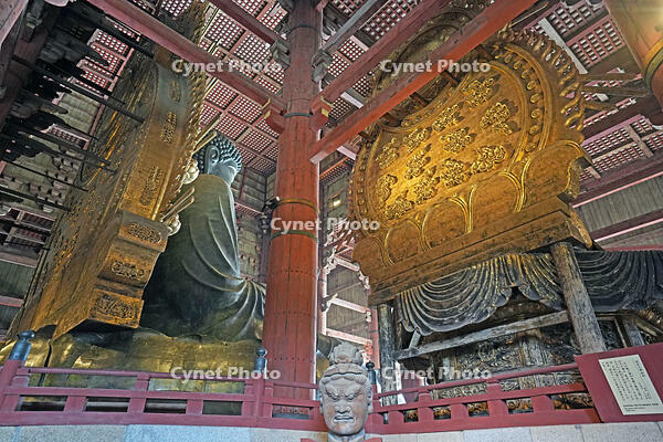 東大寺　大仏　背面側　奈良県　奈良市 [MAS110008851]