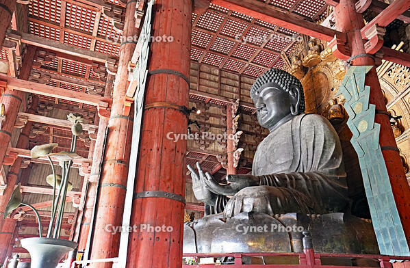 東大寺　大仏　奈良県　奈良市 [MAS110008853]