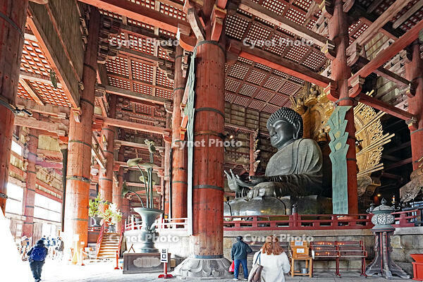 東大寺　大仏　奈良県　奈良市 [MAS110008854]