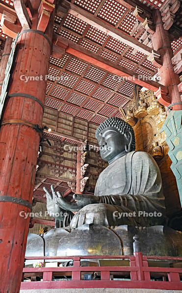 東大寺　大仏　奈良県　奈良市 [MAS110008855]
