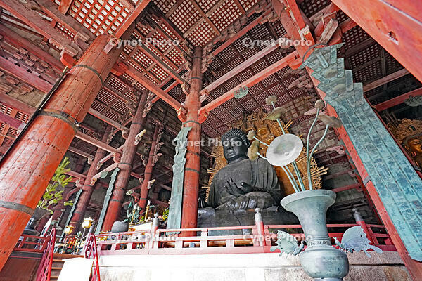 東大寺　大仏　奈良県　奈良市 [MAS110008856]