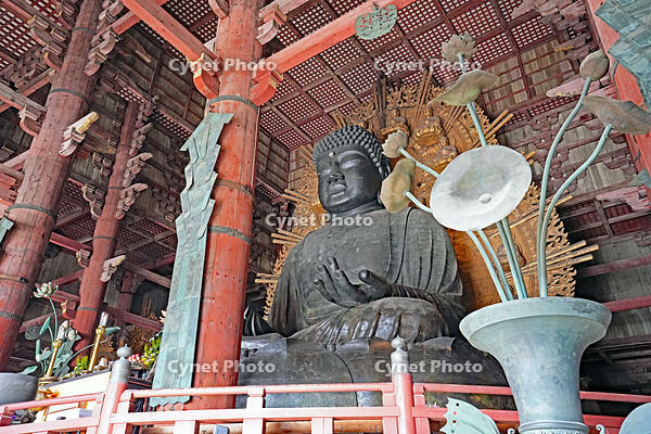 東大寺　大仏　奈良県　奈良市 [MAS110008857]