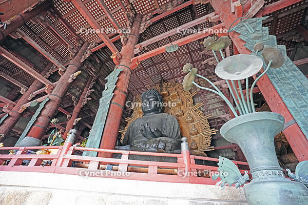 東大寺　大仏　奈良県　奈良市 [MAS110008858]