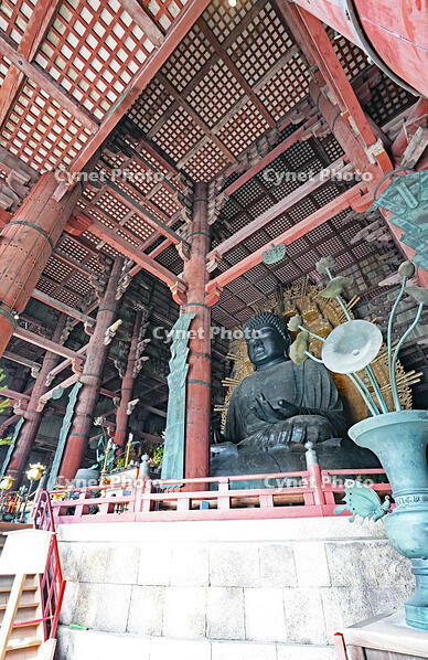 東大寺　大仏　奈良県　奈良市 [MAS110008859]