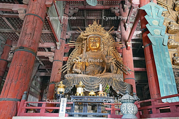 東大寺　大仏殿内部　虚空蔵菩薩坐像　(大仏向かって左側の像)　　奈良県　奈良市 [MAS110008861]