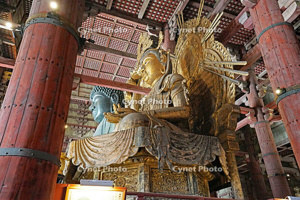 東大寺　大仏殿内部　如意輪観音坐像　(大仏向かって右側の像) 　奈良県　奈良市 [MAS110008867]