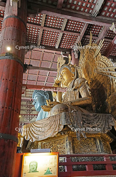 東大寺　大仏殿内部　如意輪観音坐像　(大仏向かって右側の像) 　奈良県　奈良市 [MAS110008868]