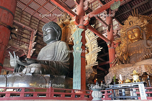 東大寺　大仏殿内部　如意輪観音坐像　(大仏向かって右側の像) 　奈良県　奈良市 [MAS110008870]