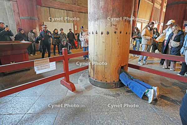東大寺　大仏殿　穴くぐり　　奈良県　奈良市 [MAS110008875]