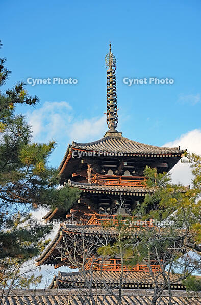 法隆寺　五重塔　奈良県　斑鳩町 [MAS110008891]